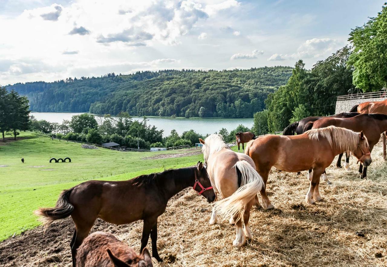 Lesniczowka Wiezyca I Domki Szymbark  Dış mekan fotoğraf